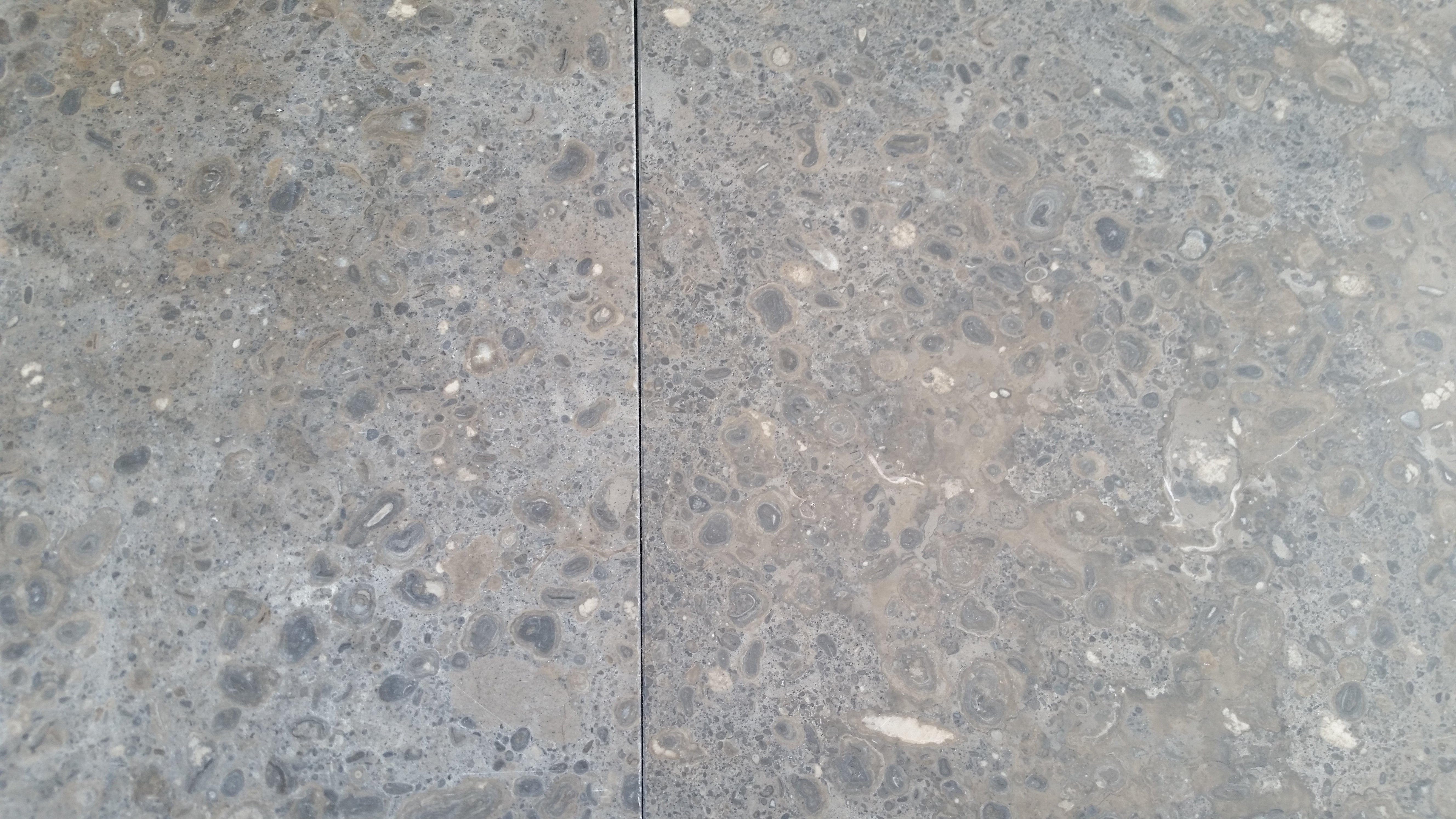 NOVA BLUE Limestone Honed Tile