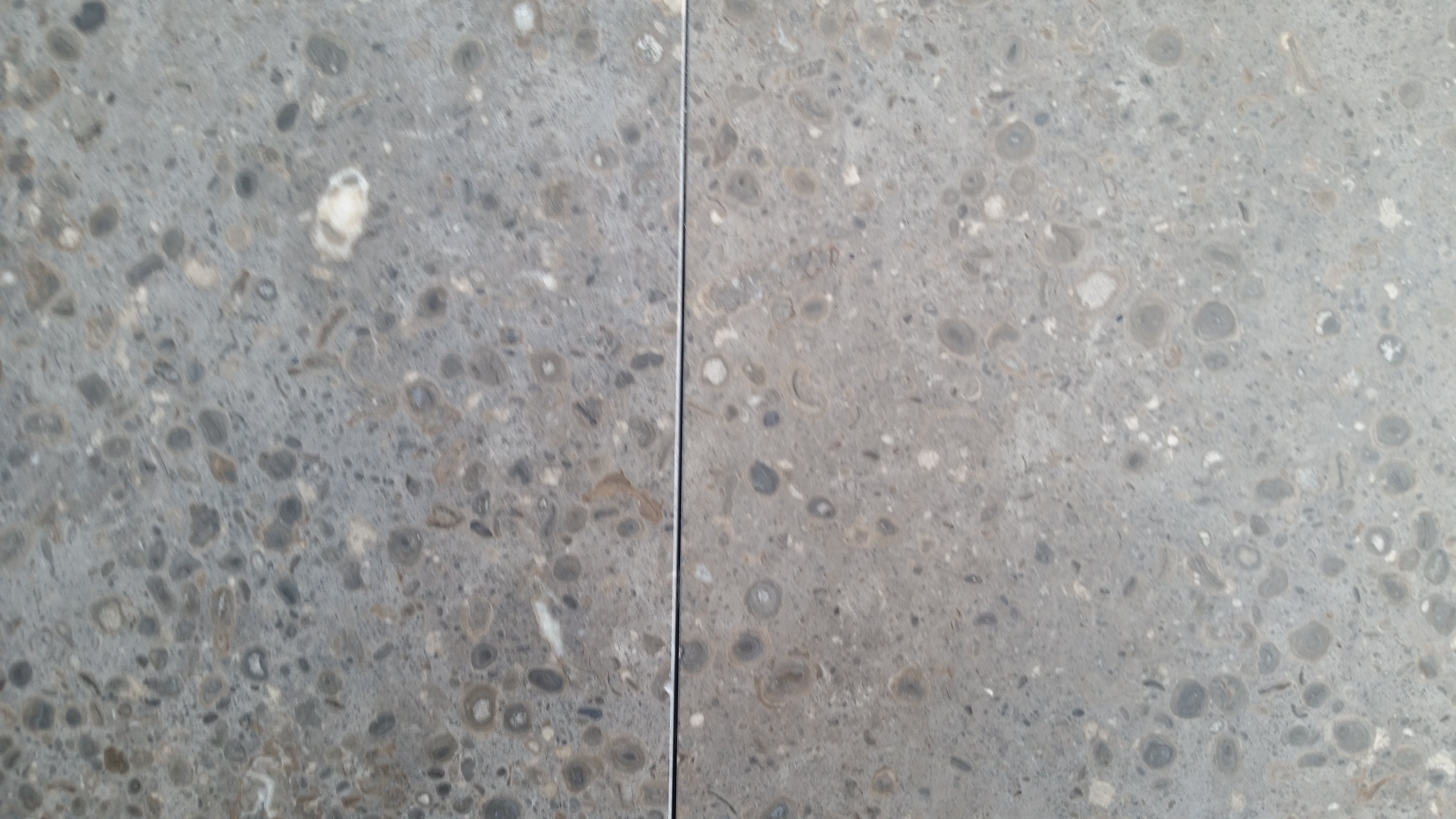 NOVA BLUE Limestone Honed Tile