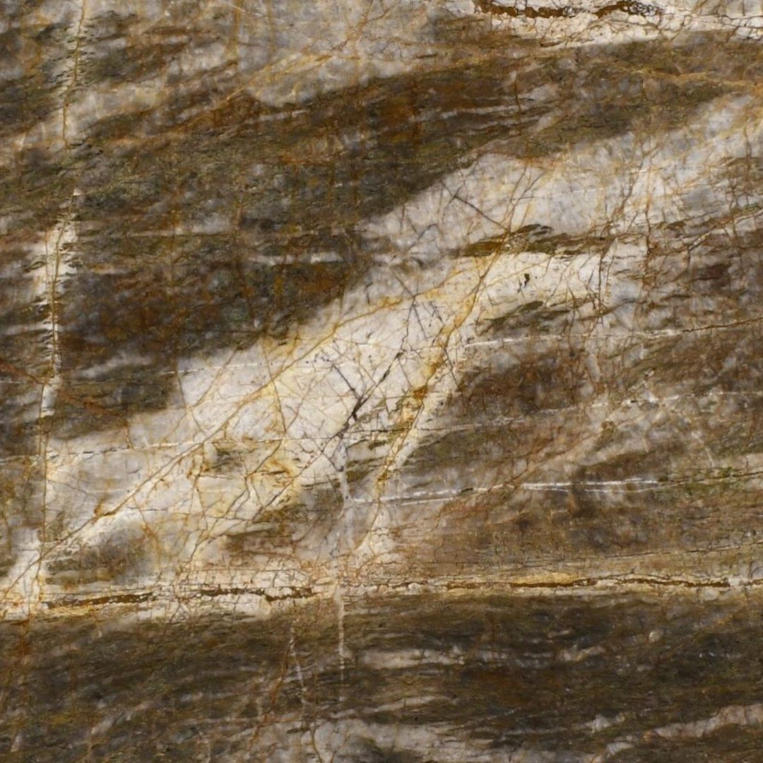 DEEP FOREST Quartzite Polished Slab