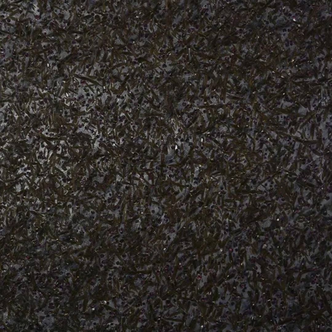 METEORUS Granite Schist Polished Slab