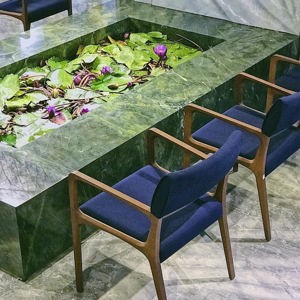 VITORIA REGIA Quartzite Polished Slab - Hawaii Stone